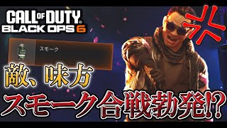 味方も敵もスモークポイポイ!?更にSGまで使ってきたのでリスハメしてわからせたったwww【COD:BO6実況】