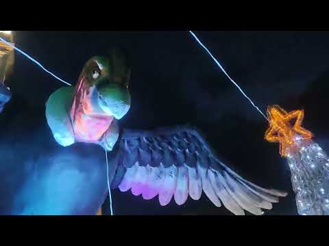 Aquiteven : 7.351 PESCA BOYACÁ 20 DE DIC. FELIZ 😀 😂 🎂  CUMPLEAÑOS 457  Y A  LAS GENERACIONES ÉXITOS.