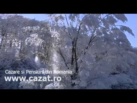 Cazare Floroaica, Calarasi - Cazat.ro