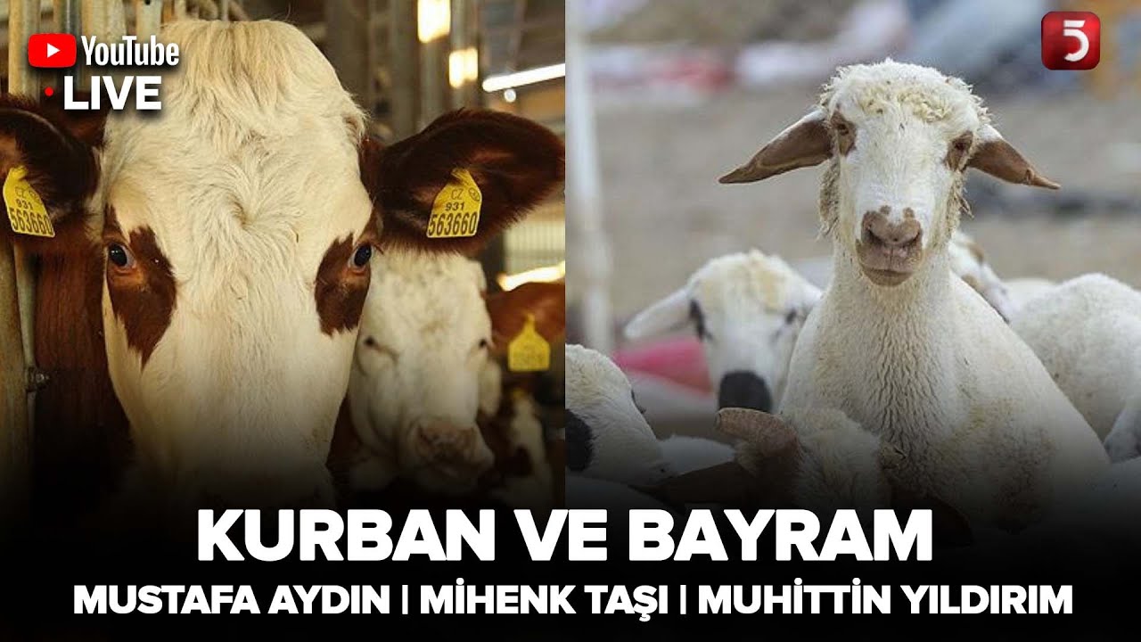 Mihenk Taşı - 07.06.2025