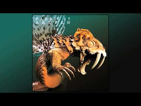 Fabric 17 (Akufen) Wighnomy Brothers & Robag Wruhme