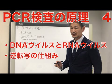 内因性レトロウイルスについて詳しく解説