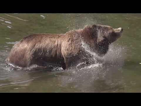 Explore with the Locals