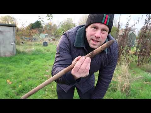 Planting Bluebells + Daffodil Bulbs   - The HOW TO GROW LIKE A PRO allotment Show