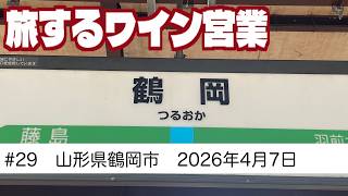 #29　山形県鶴岡市ワイン会　旅するワイン営業　【2026年4月7日】