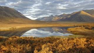 Cowboy Junkies   My Wild Child 2004