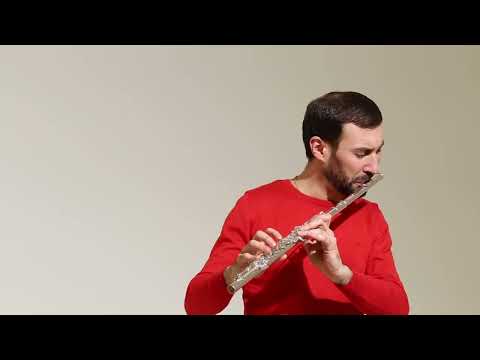 Pearl Dolce 695 series flute