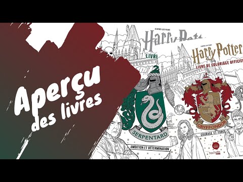 Harry Potter - coloriages Griffondor et Serpentard - Hachette Heroes
