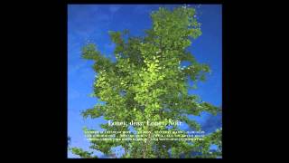 Loney, Dear - I love you (in with the arms)