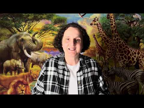 Ziua 292 / Pe drumul spre Emaus / 19  octombrie / #biblia365