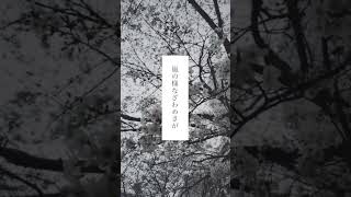 - 「エイプリル」#須田景凪 #dアニメストア #アニメとススメ!#エイプリル