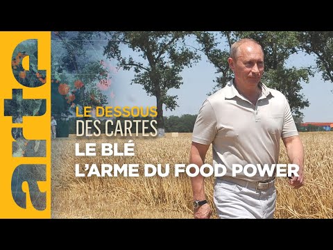 Le blé : un enjeu de food power - Le dessous des cartes | ARTE