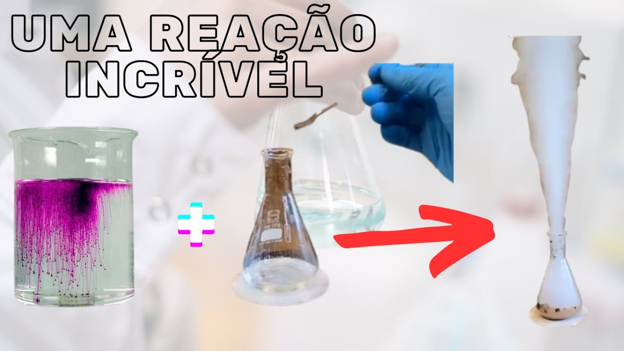 Que Reação Linda! Olha só o que aconteceu....