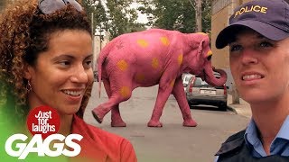 Уникален смях!!! Вижште този розов слон!!!
