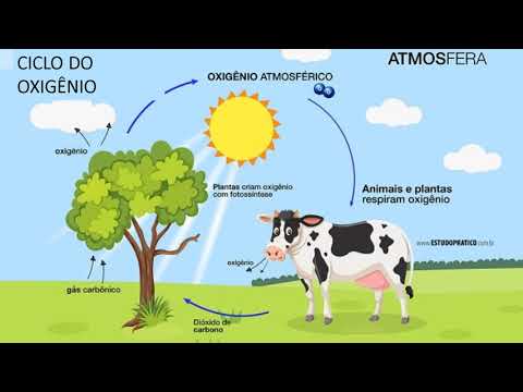 CIÊNCIAS  6º ANO- COMPOSIÇÃO E IMPORTÂNCIA DO AR