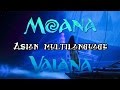 Moana Vaiana I Am Moana Asian Multilanguage 18 Versions