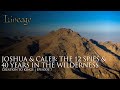 Joshua & Caleb: The 12 Spies & 40 Years in the Wilderness | Creation to Kings | Episode 7 | Lineage