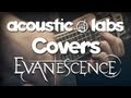 Bring Me To Life (Evanescence) - Acoustic ...