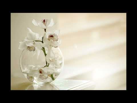 Cântare creștină cu versuri "Doamne suntem vase slabe" - Mariana Someșan & Florin Deznan