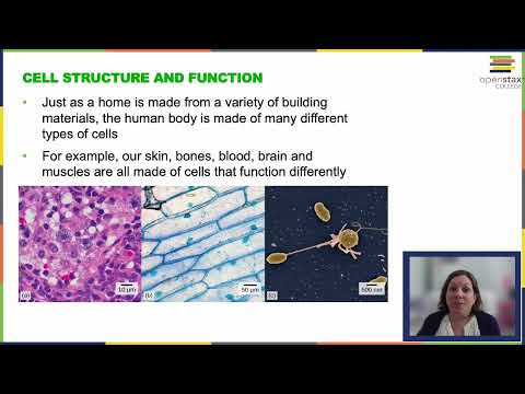 OpenStax Concepts of Biology Chapter 3 Getting Started