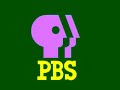 PBS Split Profile Yellow Text Super Effects REUPLOAD