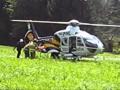 STAT 7 LANDING ZONE TREE FELL ON PATIENT