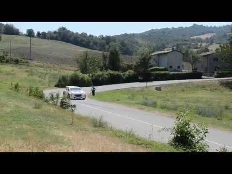 Rally di Cremona 2015 - PEUGEOT 208 T16