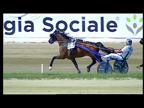 Napoli Trotto 30/04/2021 - 1ª corsa