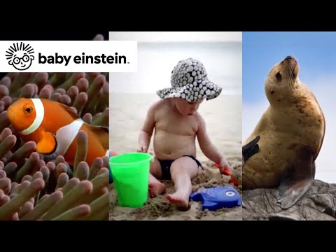 Neptune's Oceans | Baby Einstein Classics | Learning Show for Toddlers | Kids Cartoons