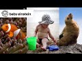 Neptune S Oceans Baby Einstein Classics Learning Show For Toddlers Kids Cartoons