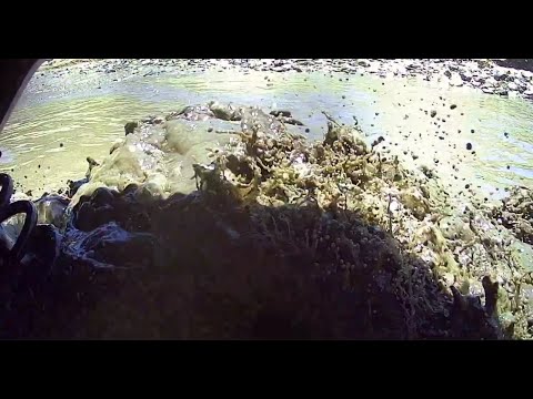 Azusa Canyon - 7-9-23 - Talon i4WD in Action