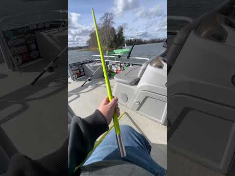 Pontoon Stick Anchors! #shorts #pontoonboat #stickanchor