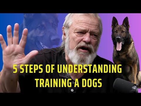 5 Steps of Understanding Training A Dog