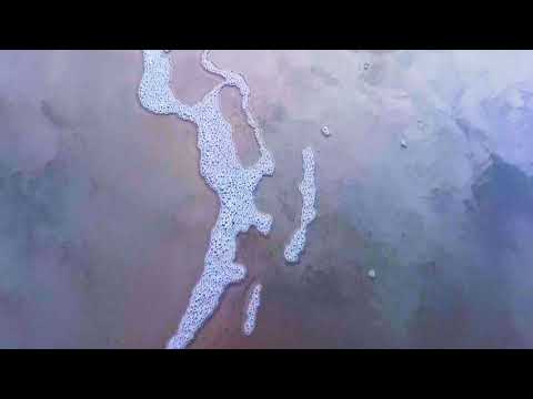 Fabiana Striffler - Chant of the Earth