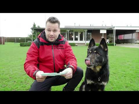 Koers, Tromp en Penninkhof/Kroes genomineerd Koers, Tromp en Penninkhof/Kroes genomineerd