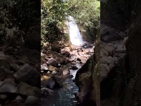 cascada en la reserva forestal La Yeguada ubicada en calobre #cascada #layeguada #calobre #tourism