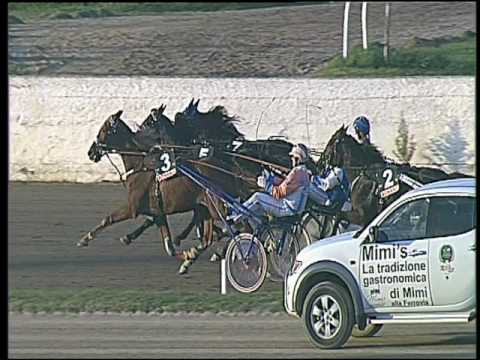 Trotto 04/11/2016 - 2ª corsa