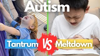 Meltdown vs Tantrum Explained With Real Life Examples