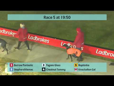 Crayford Greyhounds Races on 4th March 2023