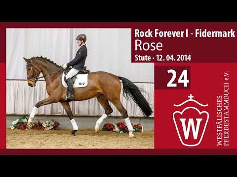24 Rose  Stute v. Rock Forever I -  Fidermark
