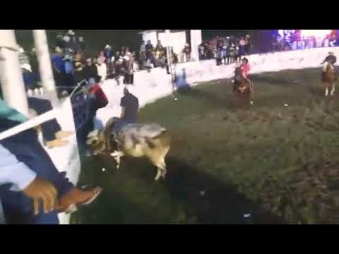 Juan Cruz Jaripeo San Martin de Abajo, San Nicolas Tolentino, SLP