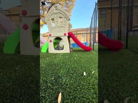 Video 2
