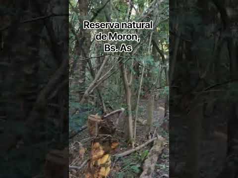Reserva natural de Moron, Buenos Aires. #viral #viralvideo #viralshorts