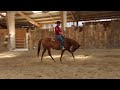 Yegua Quarter Horse En venta 2021 Alaz&aacute;n por AR ROCK STAR