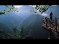 NATURE BEAUTIFUL SHORT VIDEO 720P HD