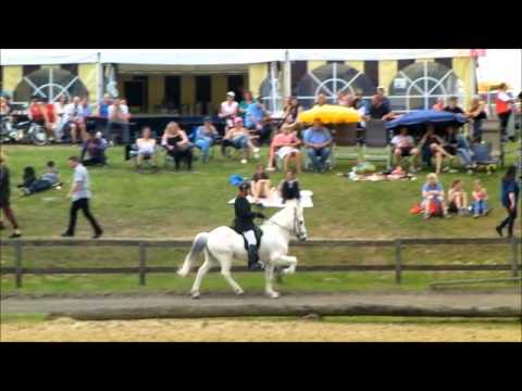 Kronshof 2013 - Dagur - T1 - isibless