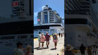 Amazing Feeling in Cruise Vacation 😄#viewersloverviews #cruise #travel #shorts #vlog #2026