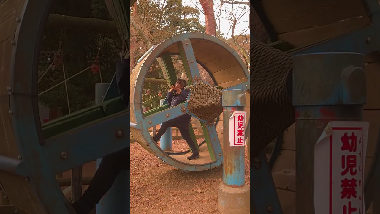 とっとこママ、回し車をめっちゃ回転させる…その結末は？