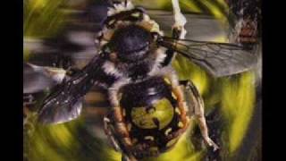 Wu Tang Killa Beez - Execute Them Instrumental