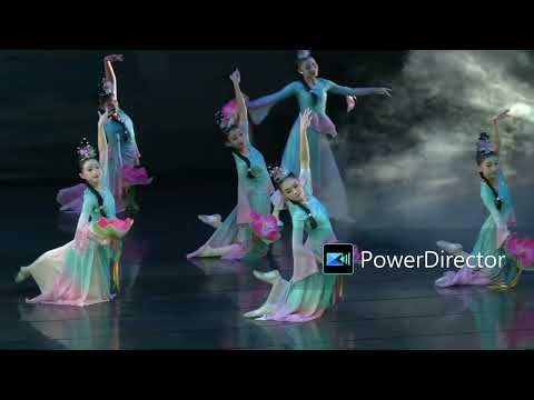 楓舞飛揚・成功藝拍Show